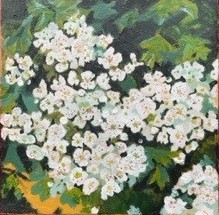Mayblossom, an oil paitning by artist Antonia Robertson