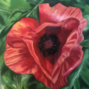 An oil painting by artist Eleanor Hodgson, called Poppy 1