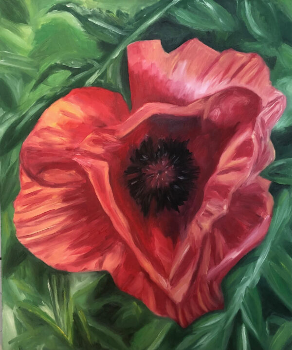 An oil painting by artist Eleanor Hodgson, called Poppy 1