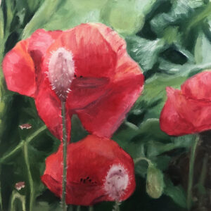 An oil painting by artist Eleanor Hodgson, called Poppy 5